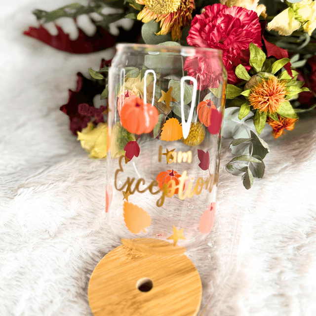 I am exceptional Tumbler en verre 500ml